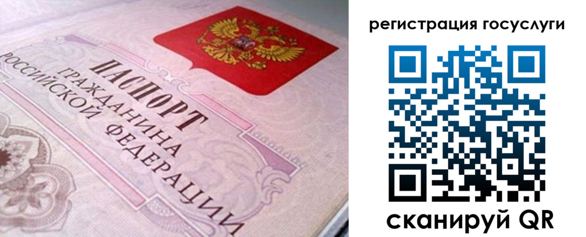 где прописаться в Черноголовке